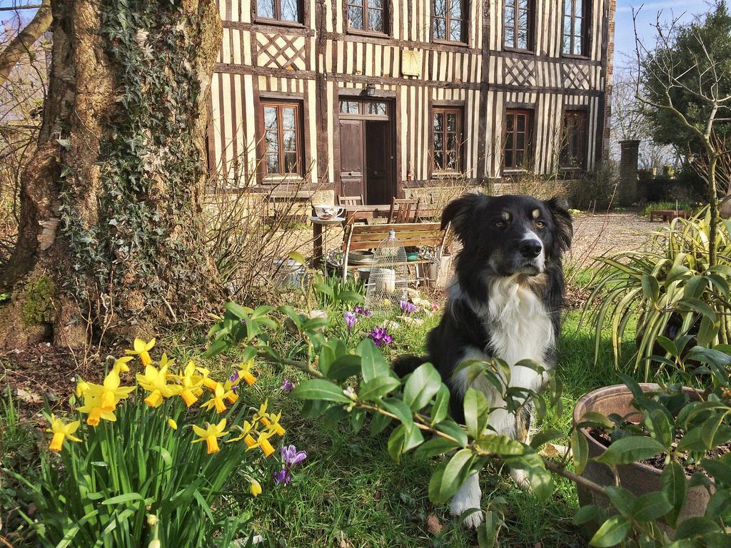 Fourmetot Le Petit Manoir De La Vernelle Bed & Breakfast エクステリア 写真