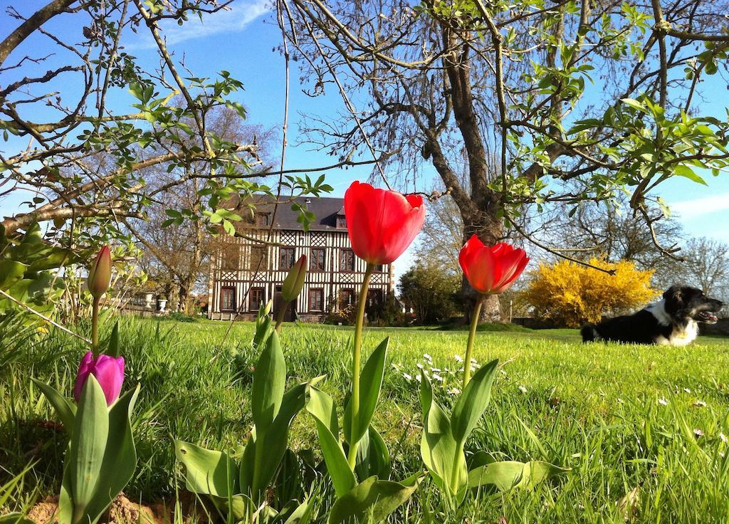 Fourmetot Le Petit Manoir De La Vernelle Bed & Breakfast エクステリア 写真