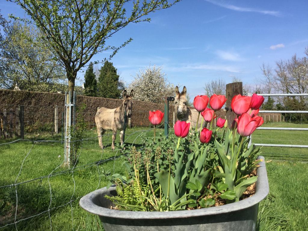 Fourmetot Le Petit Manoir De La Vernelle Bed & Breakfast エクステリア 写真